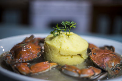 Close-up of meal served in plate