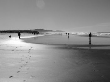 Man standing on beach against clear sky