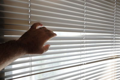 Cropped hand of man holding window blinds at home
