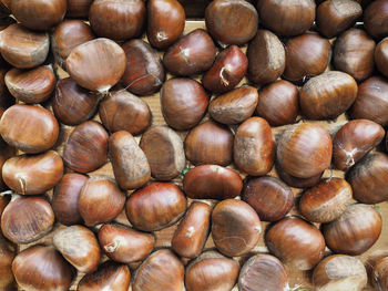 chestnut