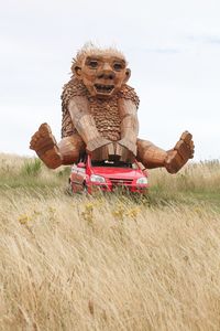 Stuffed toy on field against sky