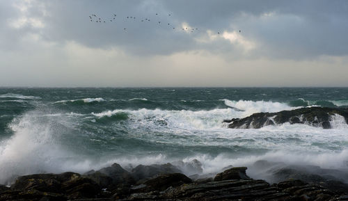 Scenic view of sea against sky