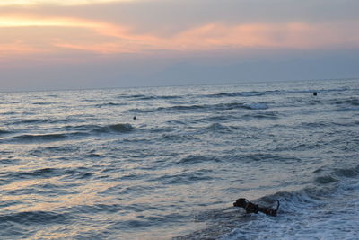 Scenic view of sea at sunset