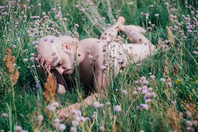 Naked man lying on field