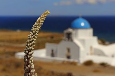 Close-up of temple against sky