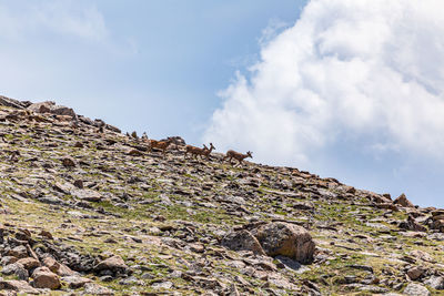 Low angle view of rock formation against sky