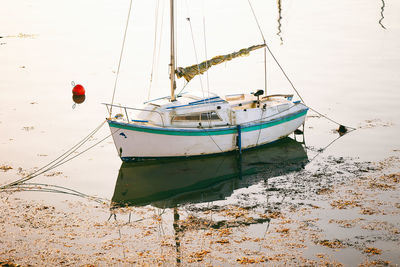 Small sailboat moored in port, ploumanach-france