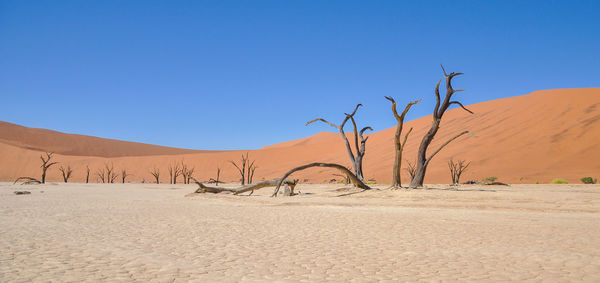 Scenic view of desert against clear blue sky
