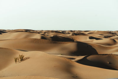 Scenic view of desert against clear sky