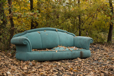 Abandoned car in forest during autumn