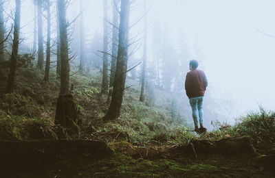 Rear view of man standing in forest