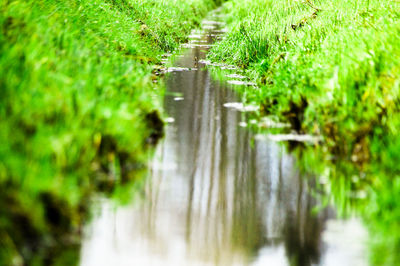 Scenic view of road amidst grass