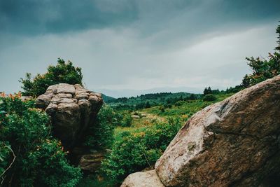 Scenic view of rock formations