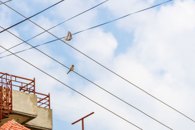 Low angle view of birds on cable against sky