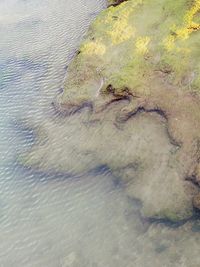 Close-up of water