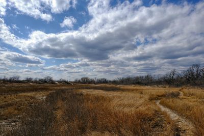 cloud - sky