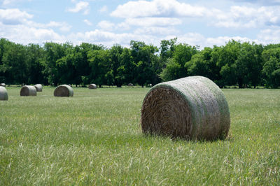 bale