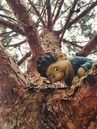 Portrait of boy on tree trunk in forest