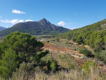 Scenic view of landscape against sky