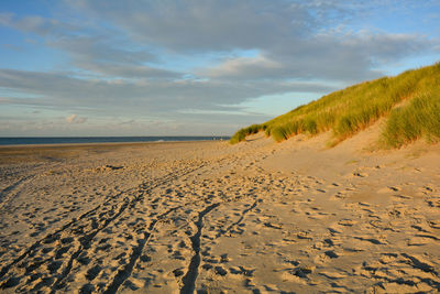 Sand dunes with beach grass and the north sea in the evening light