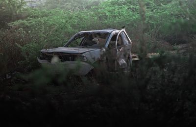 Abandoned car on field