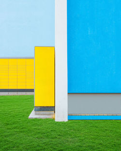 Yellow flowers on field against wall of building