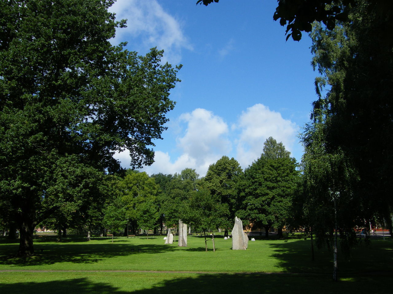 TREES IN PARK