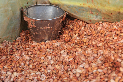 High angle view of meat in container