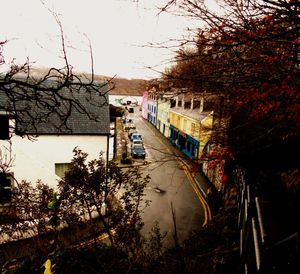 Bare trees and buildings against sky