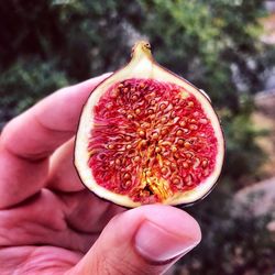 Close-up of hand holding strawberry