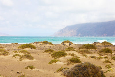 Scenic view of beach against sky