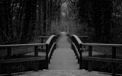 Wooden footbridge in park