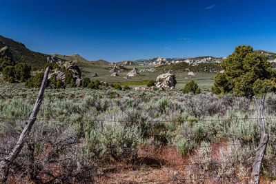 Scenic view of landscape against blue sky