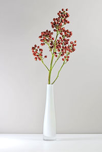 Close-up of vase against white background