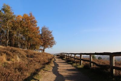 Footpath leading towards trees against blue sky