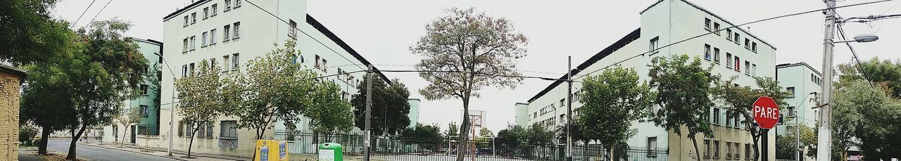 Panoramic view of trees against sky