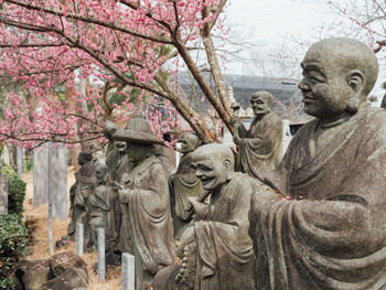 Low angle view of statue on cherry blossom