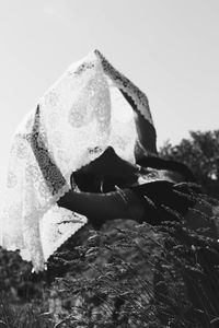 Close-up of woman holding umbrella