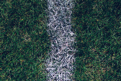 Close-up of dividing line on soccer field