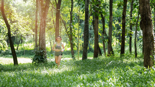 Man standing by trees in forest