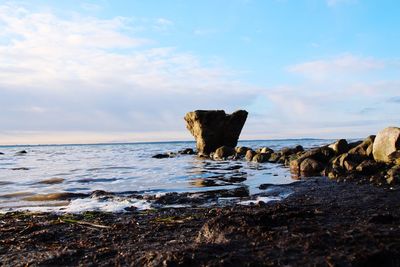 Horse on rock by sea against sky