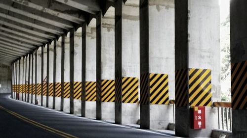 Row of trees in the dark
