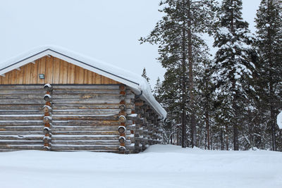 Snow covered landscape with trees and houses in background