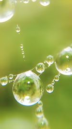 Close-up of bubbles in water