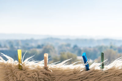 Close-up of toy on field against sky