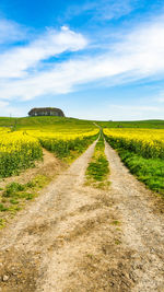 Dirt road amidst field against sky