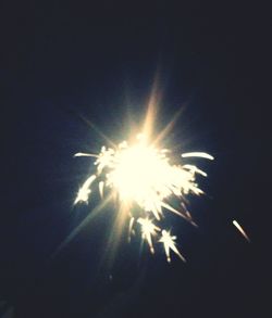 Low angle view of tree at night