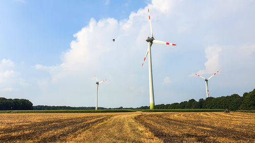 Windmill beside a cornfield