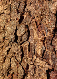 Full frame shot of cracked rock