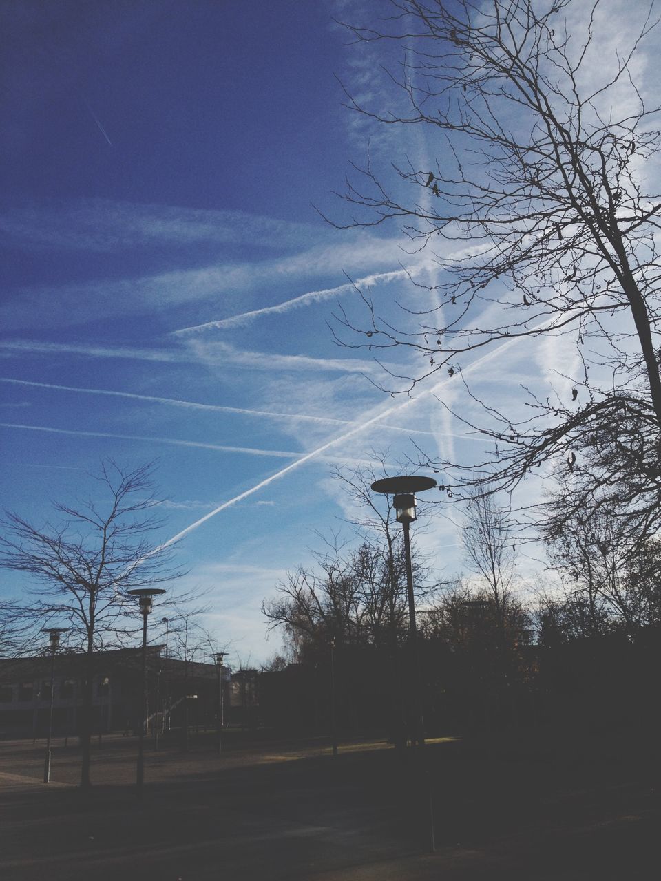 tree, sky, power line, fuel and power generation, electricity, electricity pylon, low angle view, silhouette, technology, bare tree, connection, power supply, cloud - sky, blue, nature, built structure, no people, outdoors, vapor trail, tranquility